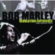 Revolution Experience