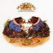 Matching Mole (Expanded Edition)