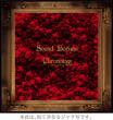 Chronology [2005-2010] (2CD+1DVD)[Limited Manufacture Edition]