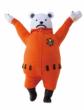 Stuffed Collection Feat P.o.p�x�|