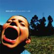 Songs To Scream At The Sun