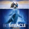 Big Miracle