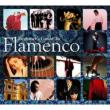 Beginner' s Guide To Flamenco