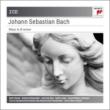 Mass in B Minor : Giulini / Bavarian Radio Symphony Orchestra & Choir, Ziesak, R.Alexander, Van Nes, etc (2CD)