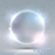 Halo Effect