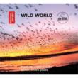 Wild World