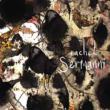 Black Currents (Signed)