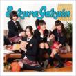 Sakura Gakuin 2011 FRIENDS Ku Edition (+DVD)[First Press Limited Edition]