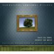 Dass Du Ewig Denkst An Mich-german Folksongs Arrangements: Kammerchor Cantamus Dresden