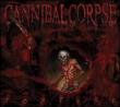 Torture (180g)