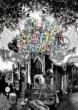 Lollipop Kingdom (3939BOX)