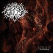 Teras (180g)
