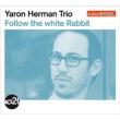 Follow The White Rabbit