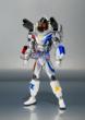 S.H.Figuarts Kamen Rider Fourze Magnet States