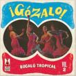 Gozalo!Vol.2