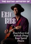 The Guitar Artistry Of