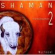 Shaman 2: The Healing Drum