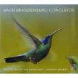 Brandenburg Concerto, 1-6, : A.walker / A.mcdonald / Da Costa / O Of The Antipodes