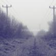 Crossed Paths