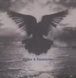 A Murder Of Crows Ep