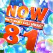 Now Thats What I Call Music 81