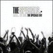 More...or Less The Specials