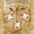 Electric Fingerstyle Guitar