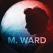 Wasteland Companion (Signed)