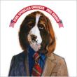 Star Spangled Springer
