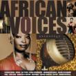 African Voices Anthology