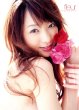 fleur ���c䝓ގʐ^�W