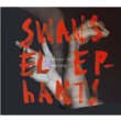 Swans Reflecting Elephants
