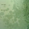 Closure Axioms