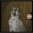 10 Years Of Boxer