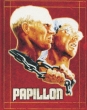 Papillon