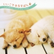 Iikode Orusubann Pet Muke Healing Music