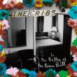 In The Belly Of The Brazen Bull (+7inch)(+poster)