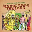 Best Of Mardi Gras Indians