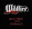 Brute Force & Ignorance