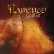Flamenco Guitar