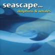 Seascapedolphins & Whales