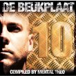 Beukplaat 10
