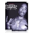 Musicskins / Tupac -House Of Blues(Ipad3�p)