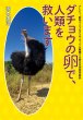 �_�`���E�̗��ŁA�l�ނ��~���܂� �A�g�s�[�A�V�^�C���t���G���U�AHIV�����Ă��閲�̍R�̔�����b