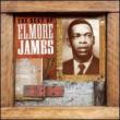 Best Of Elmore James