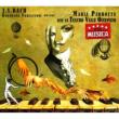 Goldberg Variations : Perrotta(P)