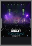 ZE:A YOKOHAMA CONCERT