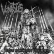 Surgical Abominations Of Disfigurement -mcd-
