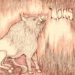 Hogz