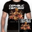 Lucid Interval (+baby Organs T-shirt)